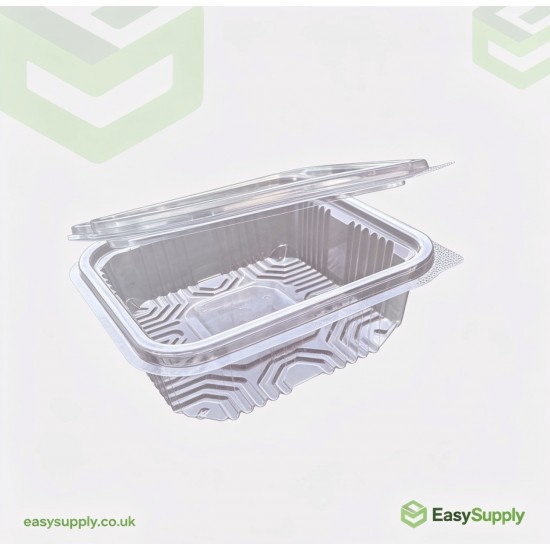 250 cc Clear Hinged Plastic Containers HD